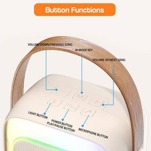 Family Fun Karaoke Machine with labeled buttons, volume control, mode, power, play/pause, microphone, light button, and brown leather handle