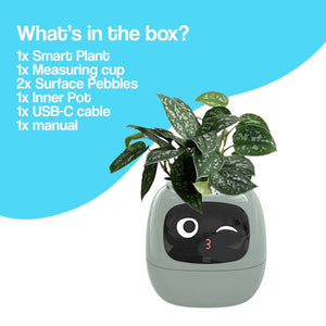 AI GrowBuddy Smart Plant Care System Ivy with expressive face and smart sensors on a table with plant