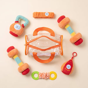 Baby Gym Starter Set