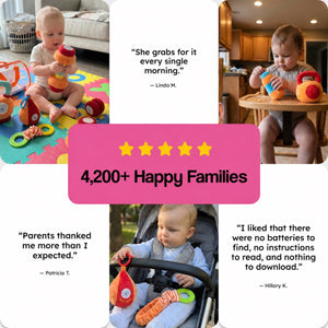 Baby Gym Starter Set