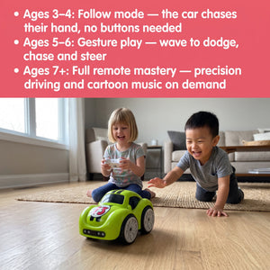 Smart Sensor Remote Control Mini Car