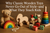 Why Classic Wooden Toys Never Go Out of Style—and What They Teach Kids
