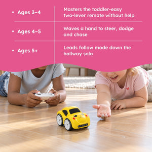 Smart Sensor Remote Control Mini Car