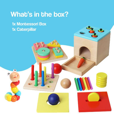 5-in-1 Wooden Montessori Box - Little Learners Toys