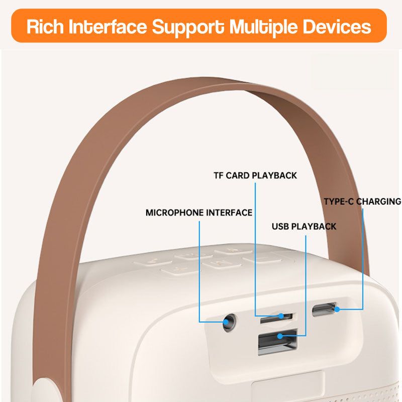 Family Fun Karaoke Machine with microphone input, TF card playback, USB playback, and Type-C charging ports, portable with brown handle and white body.