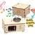Wooden Music Maker DIY Bundle