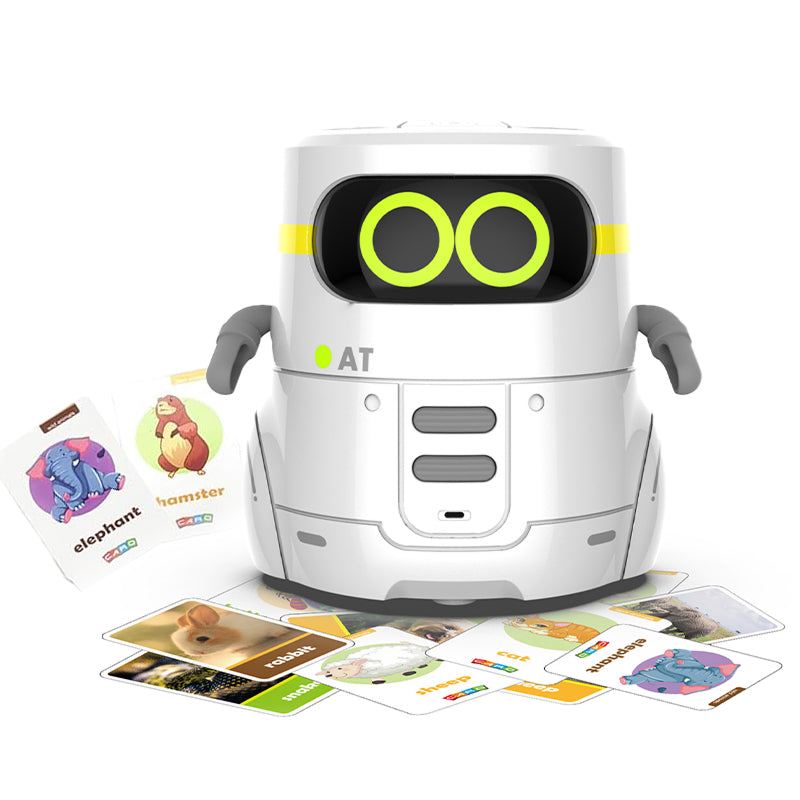 i-Learn & Play Interactive Robot