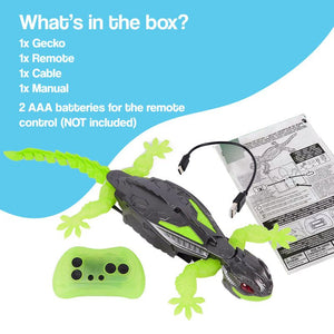 RC Robo-Lizard climbing wall and ceiling in a playful home setting