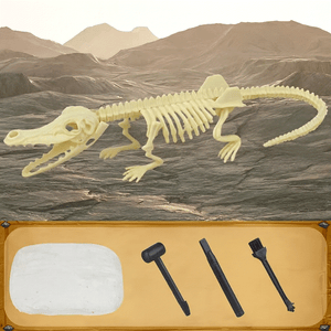 Dinosaur T-Rex Skeleton Model DIY Excavation Toy