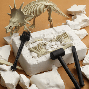 Dinosaur T-Rex Skeleton Model DIY Excavation Toy