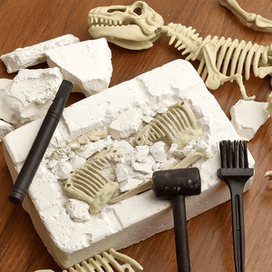 Dinosaur T-Rex Skeleton Model DIY Excavation Toy
