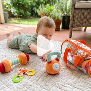 Baby Gym Starter Set