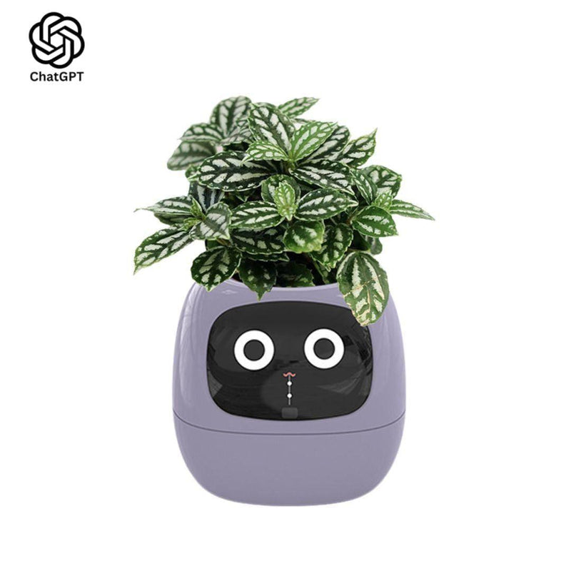 Meet Ivy - ChatGPT Powered GrowBuddy Smart Plant Care System