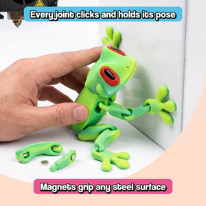 Poseable Magnetic Frog