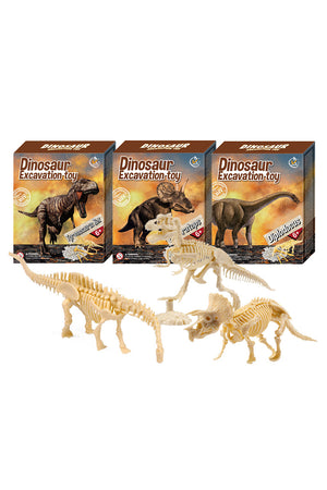 Educational Dinosaur Excavation Toy