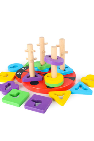Ladybug Shape-Pairing Geometric Blocks
